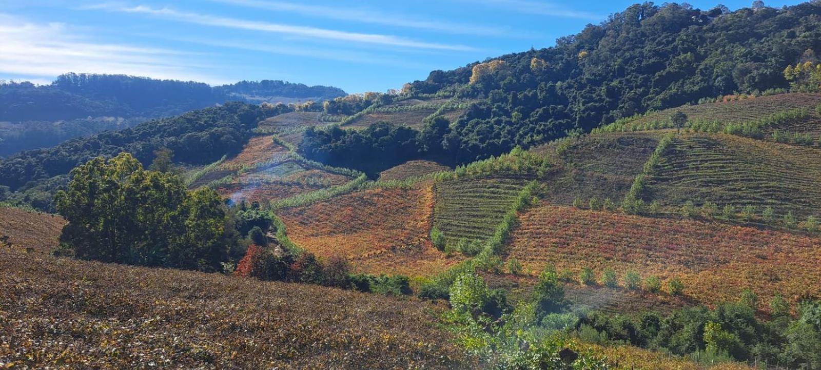 Montecielo - Vale Dos Vinhedos Bento Gonçalves